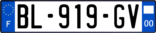 BL-919-GV