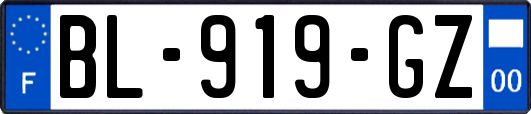 BL-919-GZ