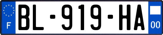 BL-919-HA