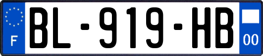 BL-919-HB