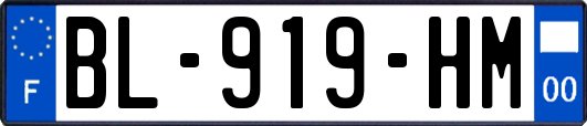 BL-919-HM