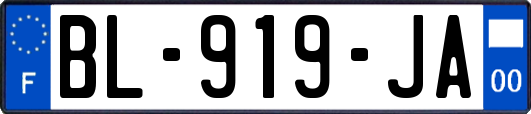 BL-919-JA