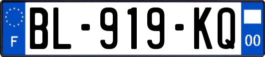 BL-919-KQ