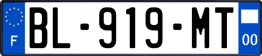 BL-919-MT