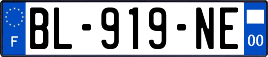 BL-919-NE