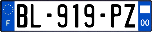 BL-919-PZ