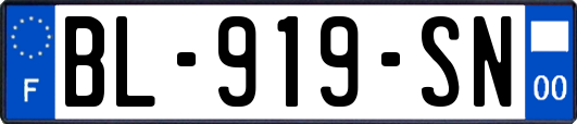 BL-919-SN