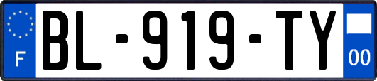 BL-919-TY