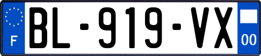 BL-919-VX