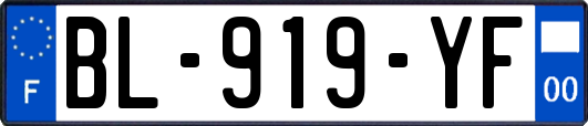 BL-919-YF