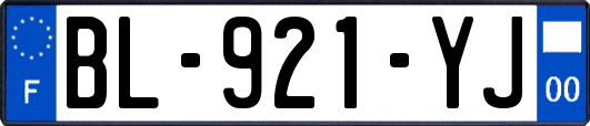 BL-921-YJ