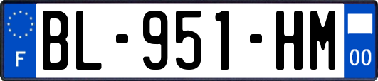 BL-951-HM