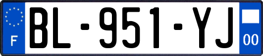 BL-951-YJ
