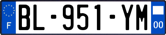 BL-951-YM