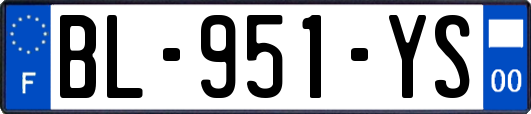 BL-951-YS