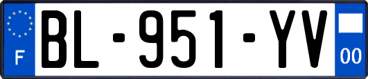 BL-951-YV