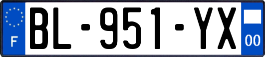 BL-951-YX