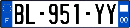 BL-951-YY