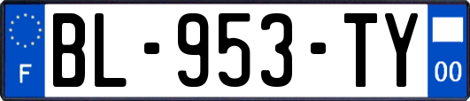 BL-953-TY