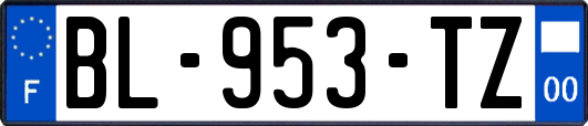 BL-953-TZ