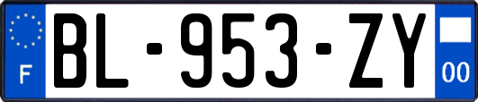 BL-953-ZY