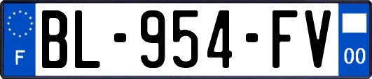 BL-954-FV