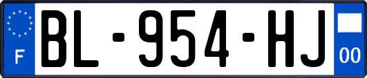 BL-954-HJ