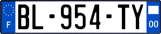 BL-954-TY