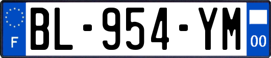 BL-954-YM