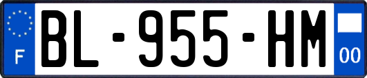 BL-955-HM