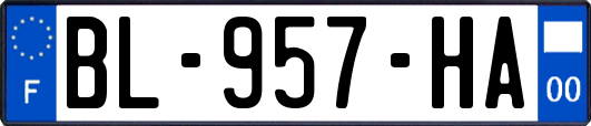 BL-957-HA
