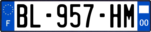 BL-957-HM