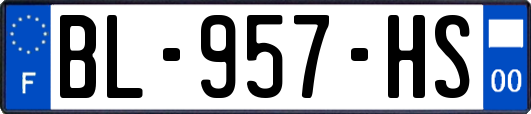 BL-957-HS
