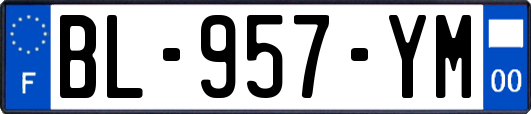 BL-957-YM