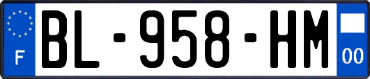 BL-958-HM