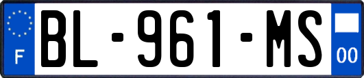 BL-961-MS