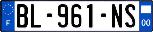 BL-961-NS