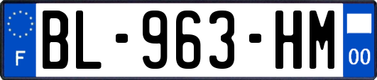 BL-963-HM