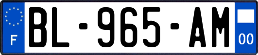 BL-965-AM