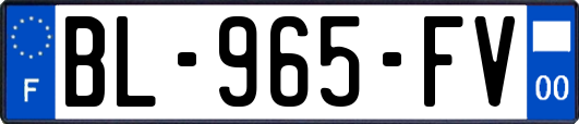 BL-965-FV