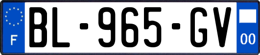 BL-965-GV