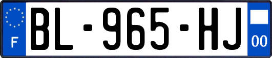 BL-965-HJ