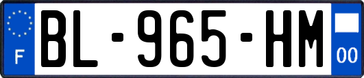 BL-965-HM