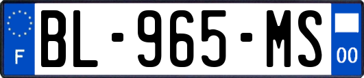 BL-965-MS