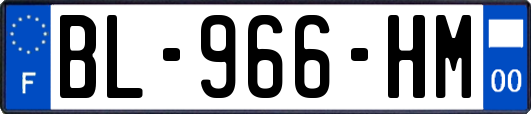 BL-966-HM