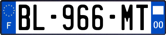 BL-966-MT