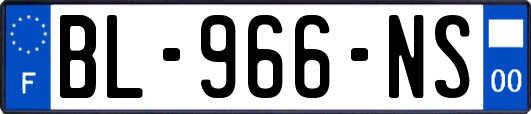 BL-966-NS