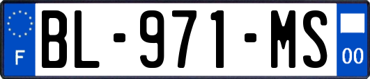 BL-971-MS