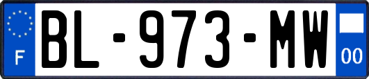 BL-973-MW