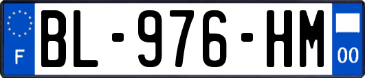 BL-976-HM
